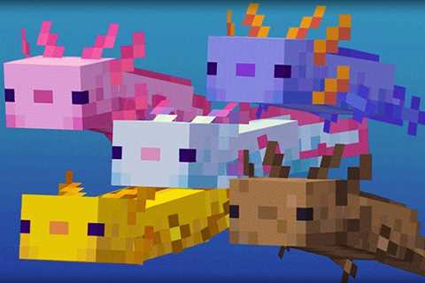 All Axolotl Colors in Minecraft