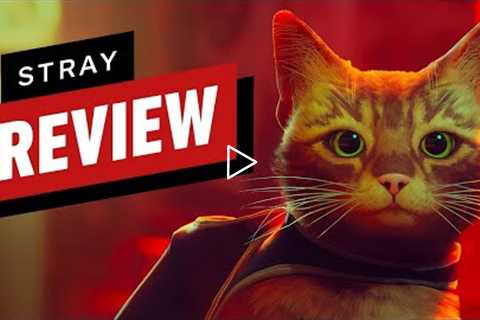 Stray Review