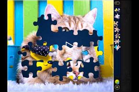 Magic Puzzles Jigsaw Puzzle App Game Cat with Bowtie iOS Mobile Gameplay