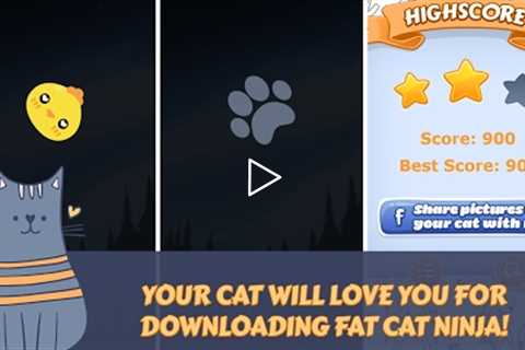 APP fat cat ninja - game for cats