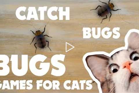 CAT GAMES ★ BUGS on the screen  ★ games for cats