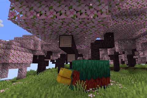 Minecraft update 1.20 will introduce a new Cherry Blossom biome