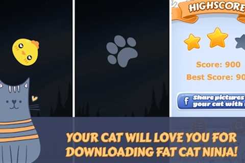 APP fat cat ninja - game for cats