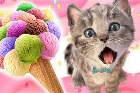 Little Kitten Preschool Adventure Educational Games -Play Fun Cute Kitten Pet Care Learning #435