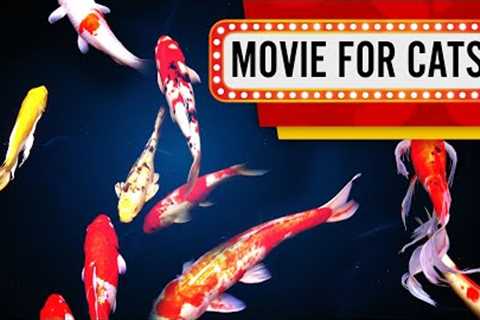 MOVIE FOR CATS - Mesmerizing Koi Carps! (Video for cats to watch) 3 Hours 4K