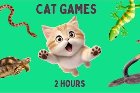 Cat Games - Lizard, Cobra, Snake, Turtles Running on Screen for your Cat to Play