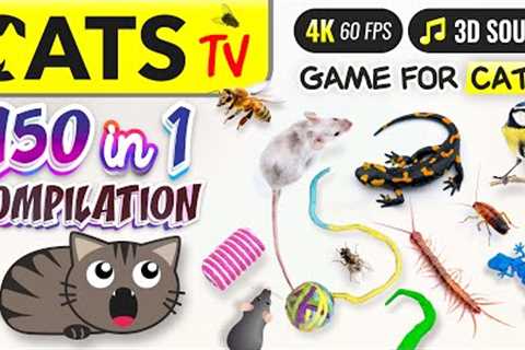 CATS TV - 150 in 1 Ultimate Compilation 🙀 Game for cats 🐭🐤🐝 10 HOURS 🕚 4K