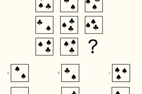 IQ question - Spades and Clubs inside of boxes