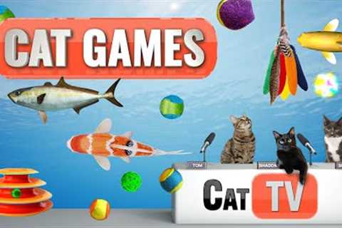 Cat Games | Ultimate Cat TV Compilation Vol 2 | 🧶