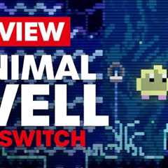 Animal Well Nintendo Switch Review - Is It Worth It?