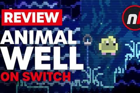 Animal Well Nintendo Switch Review - Is It Worth It?