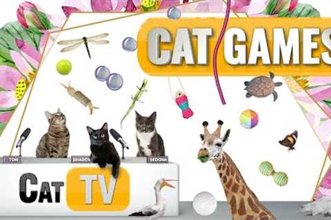 CAT Games | Ultimate Cat TV Compilation Vol 54 | 2 HOURS 🐝🐞🦋🦎🦜🐜🐭🧵