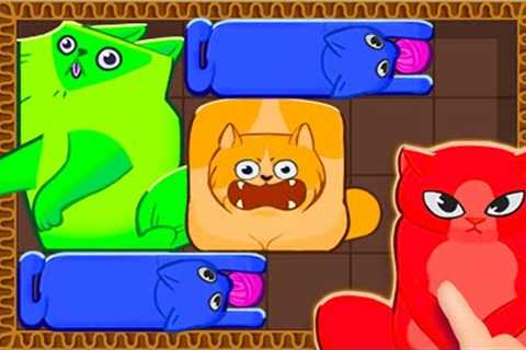 Puzzle Cats Gameplay Walkthrough All Levels iOS, Android - NEW GAME APP (Trailer)