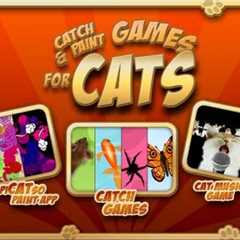 Catch & Paint Games for Cats - cat iPad game demo