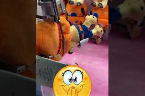 Chopper Plush WIN FIRST TRY From a Claw Machine at the ARCADE #claw #arcade